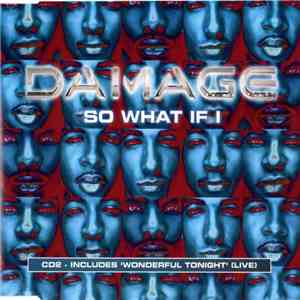 Damage - So What If I download mp3 flac