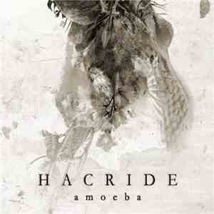 Hacride - Amoeba download mp3 flac