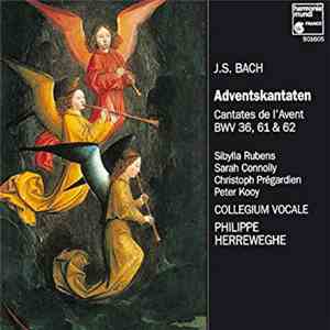 J. S. Bach / Sibylla Rubens, Sarah Connolly, Christoph Prégardien, Peter Kooy, Collegium Vocale, Philippe Herreweghe - Adventskantaten = Cantates De L'Avent BWV 36, 61 & 62 download free J. S. Bach / Sibylla Rubens, Sarah Connolly, Christoph Prégardien, Peter Kooy, Collegium Vocale, Philippe Herreweghe - Adventskantaten = Cantates De L'Avent BWV 36, 61 & 62 download mp3 flac