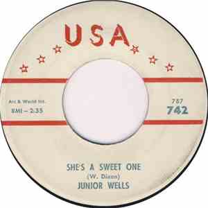 Junior Wells - She's A Sweet One / When The Cat's Gone The Mice Play download free Junior Wells - She's A Sweet One / When The Cat's Gone The Mice Play download mp3 flac
