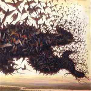Kiev - Falling Bough Wisdom Teeth download mp3 flac