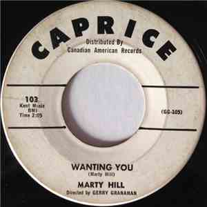 Marty Hill  - Wanting You download mp3 flac