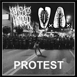 Money Hater, Vaginal Anal - Protest download mp3 flac