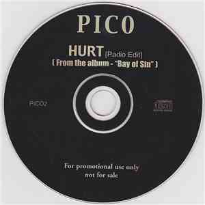 Pico - Hurt (Radio Edit) download free Pico - Hurt (Radio Edit) download mp3 flac