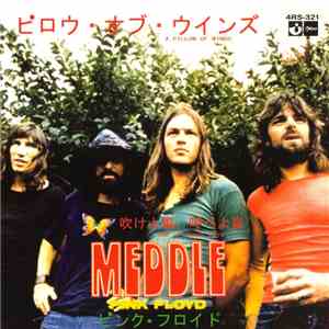 Pink Floyd - A Pillow Of Winds download mp3 flac