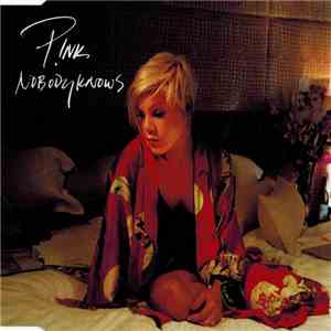 P!NK - Nobody Knows download mp3 flac