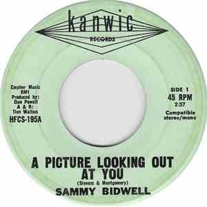 Sammy Bidwell - A Picture Looking Out At You download mp3 flac
