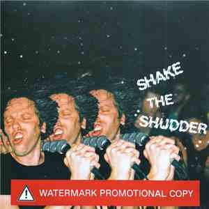!!! - Shake The Shudder download mp3 flac