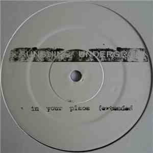 Sunshine Underground - Put You In Your Place download mp3 flac