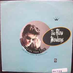 The Blow Monkeys - Digging Your Scene download mp3 flac