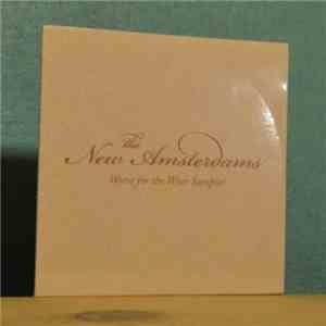 The New Amsterdams - Worse For The Wear Sampler download free The New Amsterdams - Worse For The Wear Sampler download mp3 flac