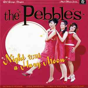 The Pebbles  - Night With A Hazy Moon download mp3 flac