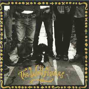 The Wallflowers - The Wallflowers download mp3 flac