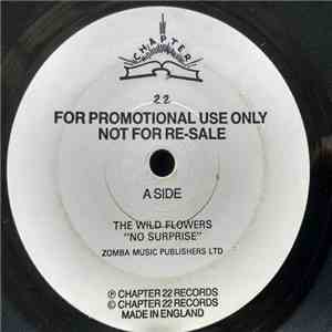 The Wild Flowers - No Surprise download mp3 flac