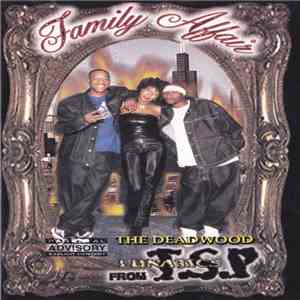 T.S.P. - Family Affair download mp3 flac