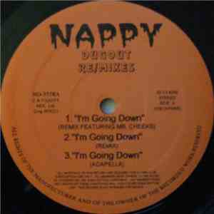 Various - Nappy Dugout Re/Mixes download mp3 flac