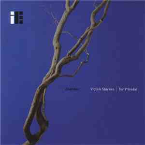 Vigleik Storaas | Tor Yttredal - Chamber download mp3 flac