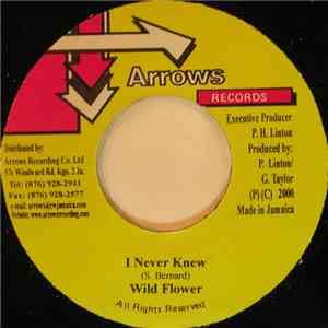 Wild Flower  - I Never Knew download free